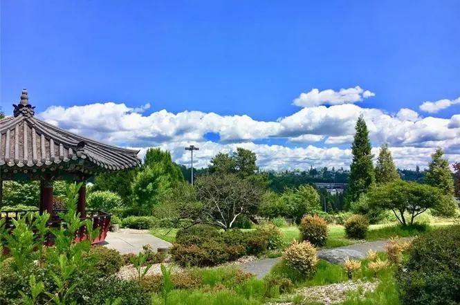 每周房产丨西雅图 North Beacon Hill 联排别墅，距离市中心10分钟，可自住，可投资！